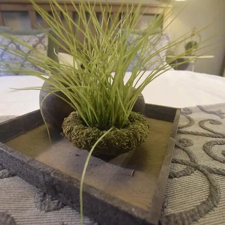 瓦尔德克旅馆 招待所