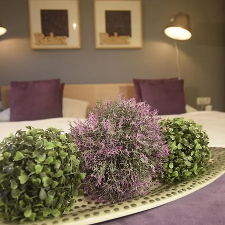 瓦尔德克旅馆 3* 大格迈因