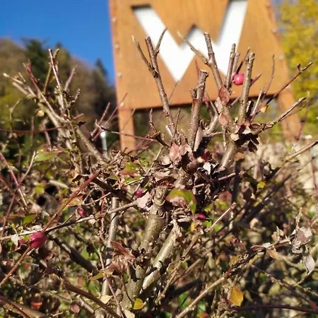 게스트하우스 Gaestehaus Waldeck 그로스크메인