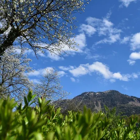 Gaestehaus Waldeck 게스트하우스 3*