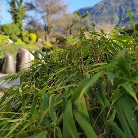 瓦尔德克旅馆 招待所