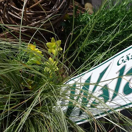 게스트하우스 Gaestehaus Waldeck 그로스크메인